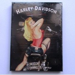 magnet 6x8cm harley davidson babe pin up sur moto HD