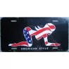 License plate Pin Up in flag USA American Styl