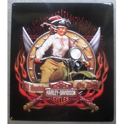 Harley Davidson pin up pirate hat and motorcycle biker plate Harley Davidson pin up pirate hat and motorcycle biker plate