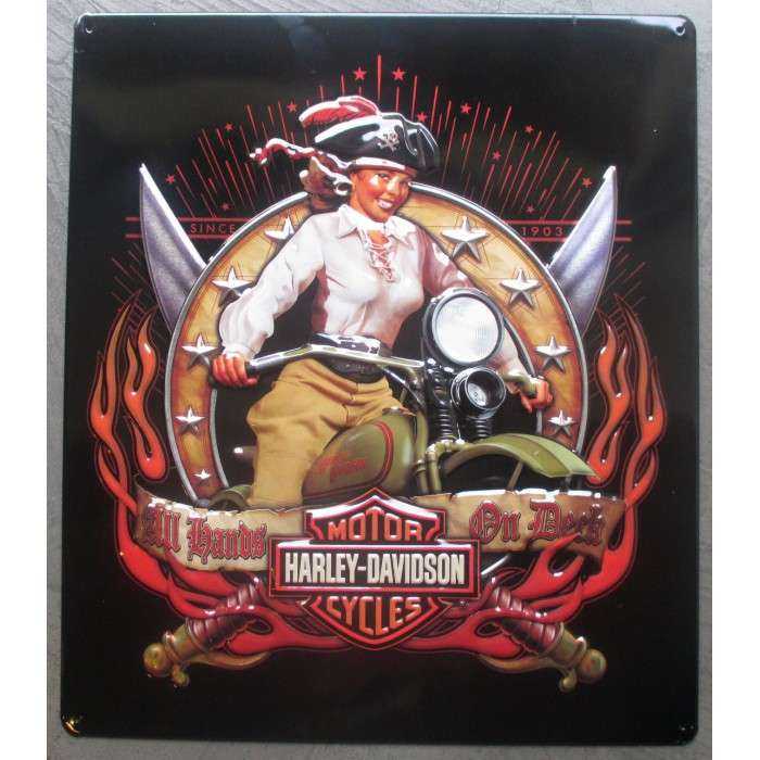 Harley Davidson pin up pirate hat and motorcycle biker plate Harley Davidson pin up pirate hat and motorcycle biker plate