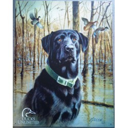 plaque chien noir en gros plan oiseau en arriere plan tole us