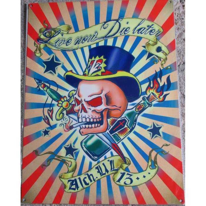 plaque crane coloré tete de mort 70x50cm tole deco us salon tatouage plaque crane coloré tete de mort 70x50cm tole deco us salon tatouage
