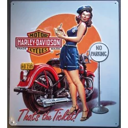 plaque Harley Davidson pin up pilicire qui verbalise no parking  usa
