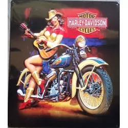 plaque Harley Davidson pin up et guitare usa tole deco garage biker