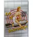 Pinup plaque asssise on bomb Eve of Destruction bomber