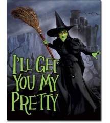 plaque sorciere peau verte et tenue noire i' ll get you my pretty 41x32 cm