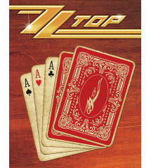 ZZTOP plate card games 41x32 cm tole of the Texas rock band