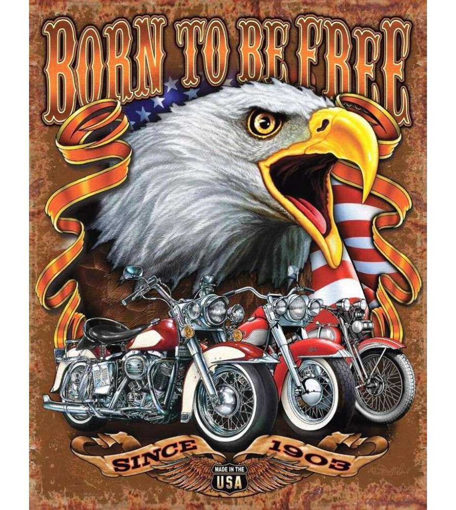 plaque aigle et motos born to be free 41x32cm tole decorative garage usa