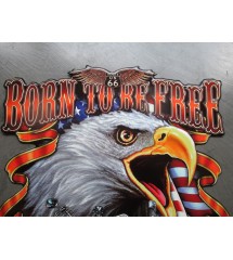 plaque 60x50cm born to be free aigle et vielle moto usa tole emboutie