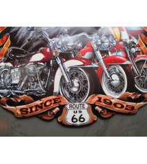 plaque 60x50cm born to be free aigle et vielle moto usa tole emboutie