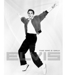 Elvis Presley plate arms in the air 41x32 cm tole USA
