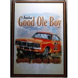 plaque general lee , good...