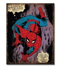 spider man plaque spiderman...