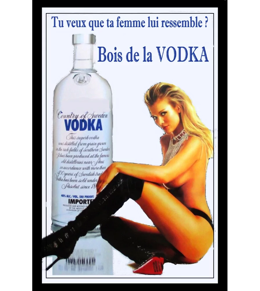 Vintage Metal Sign - French Text Absolut Vodka - Funny Bar Decor - Retro Wall Art Vintage Metal Sign - French Text Absolut Vodka - Funny Bar Decor - Retro Wall Art
