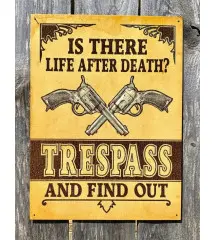 Plate is there life after death with pistols 41x32cm trepass and find out