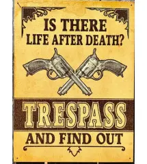 plaque is there life after death avec des pistolets 41x32cm trepass and find out