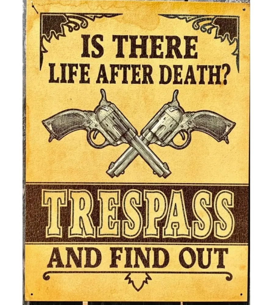 Plate is there life after death with pistols 41x32cm trepass and find out