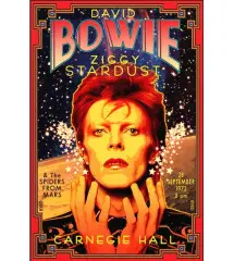 David Bowie "Ziggy Stardust" Metal Wall Sign – 30 x 20 cm