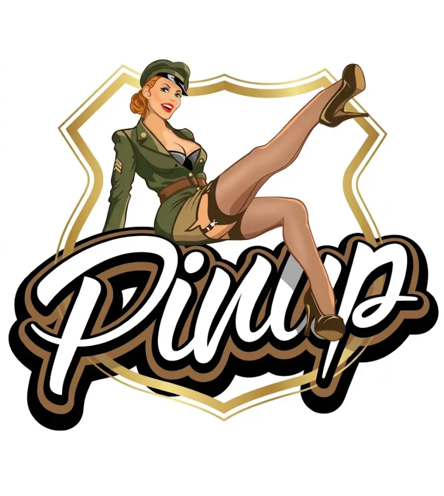sticker blason pin up miltaire 13x12 cm autocollant fin