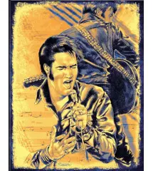 plaque metal 41x32cm Elvis en pleine performance sur fond de partitions musicales